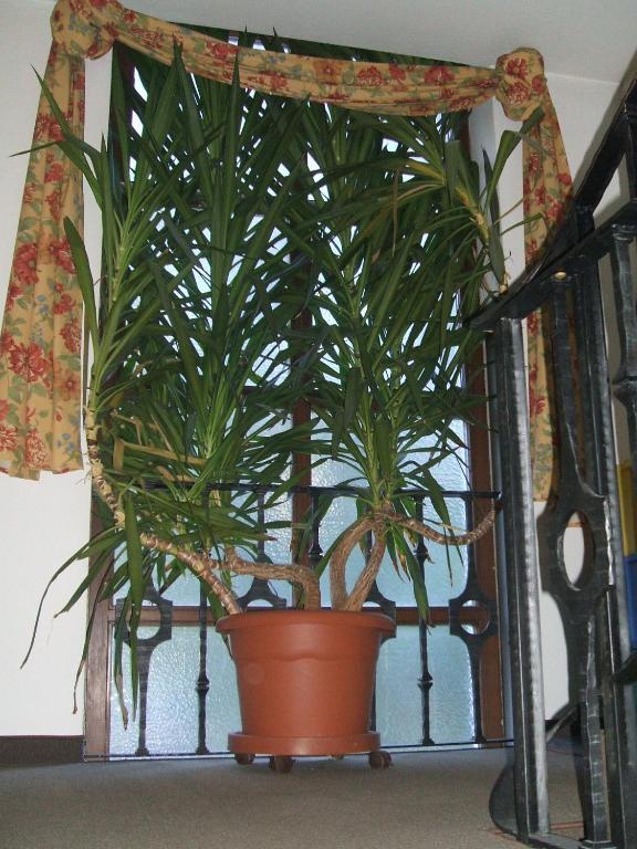 Residence Wiesenhof カンポ・トゥーレス エクステリア 写真